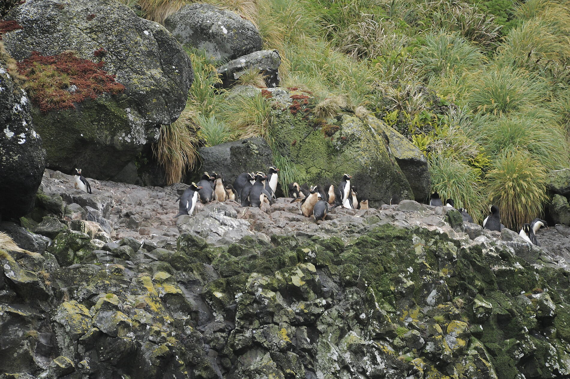 _DSC6482.JPG