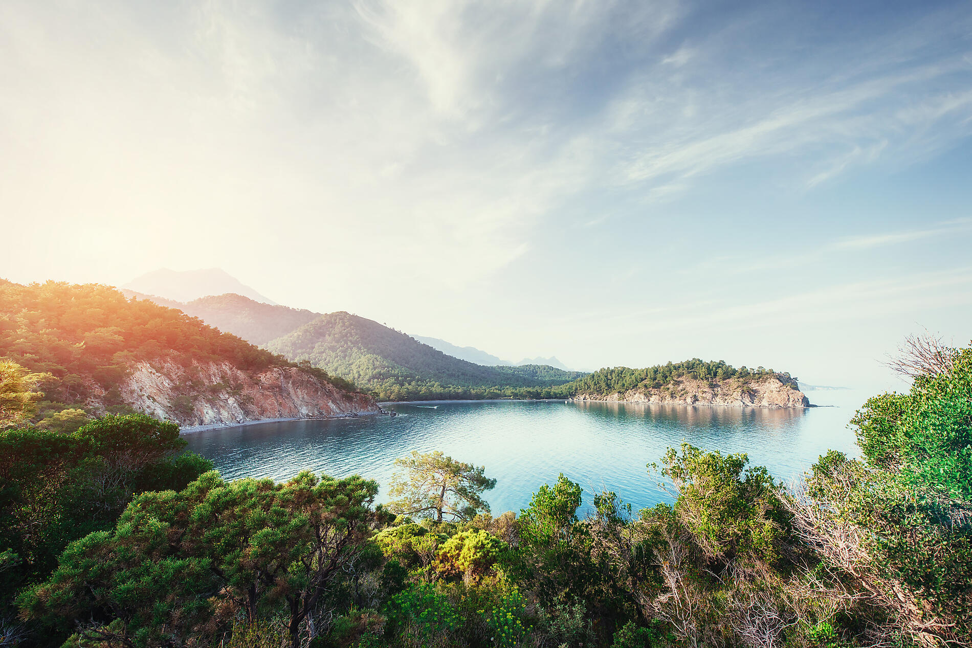 iStock-629113494.jpg