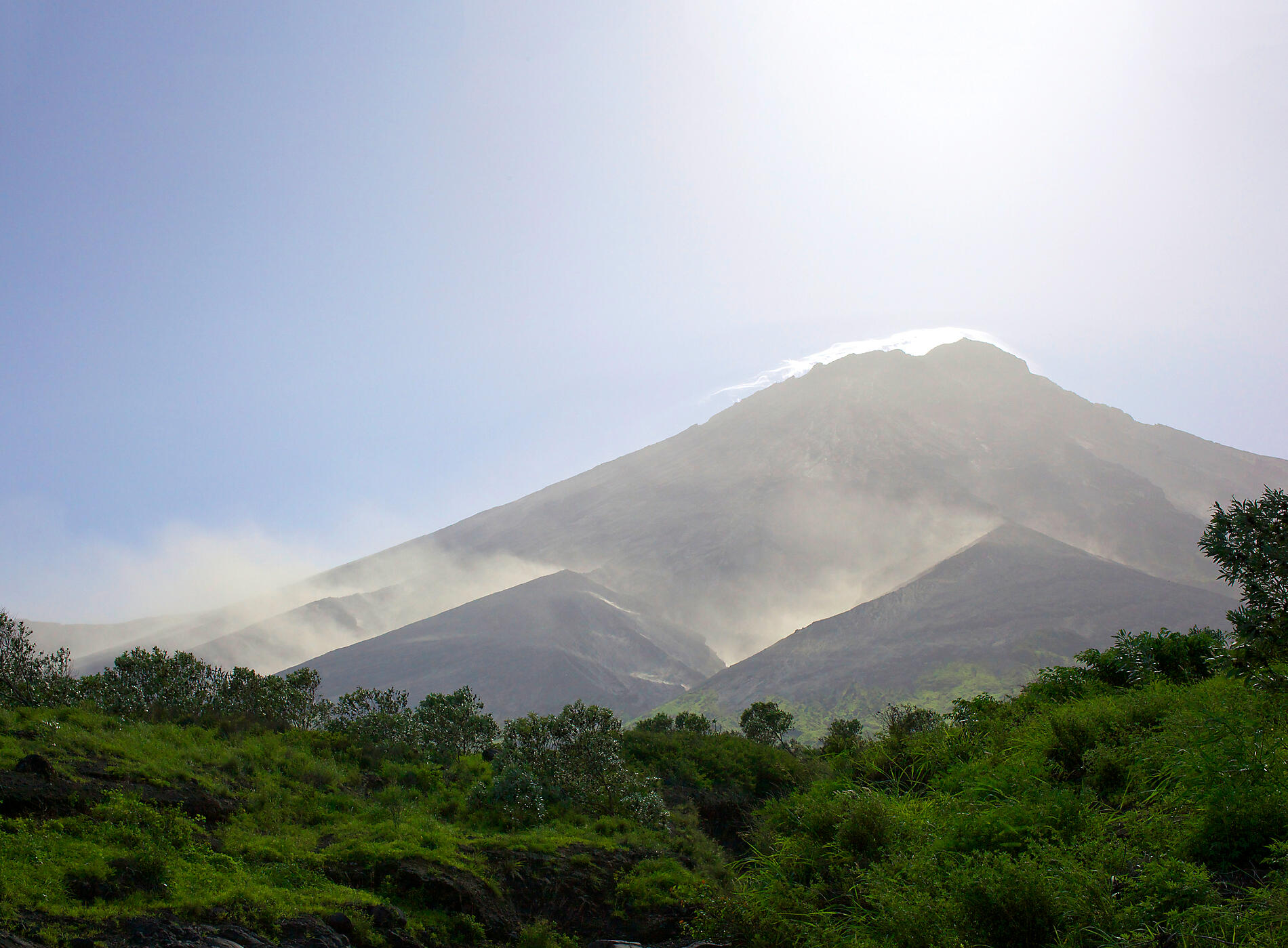 iStock_000027317441Large.jpg