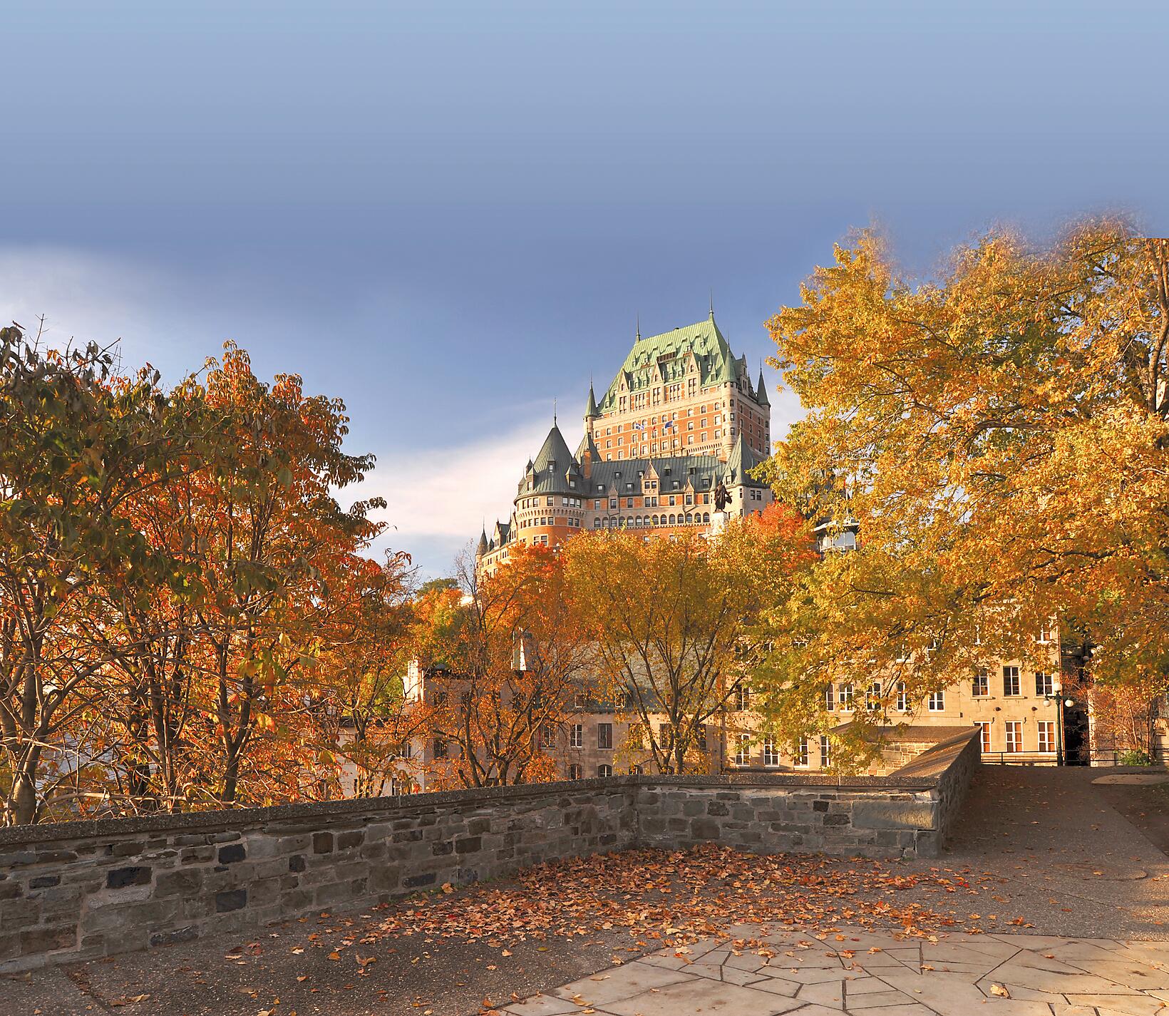 iStock_000014397238Large.jpg