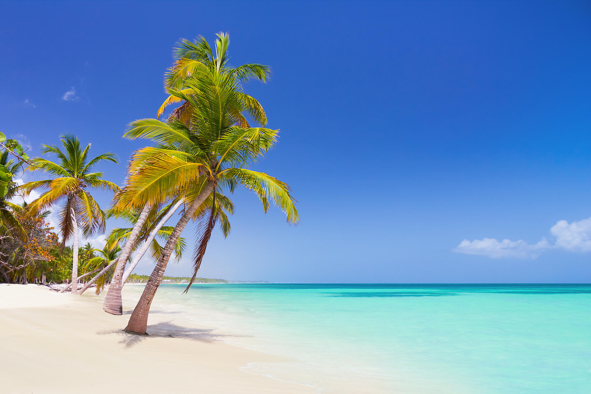 iStock-515073340.jpg