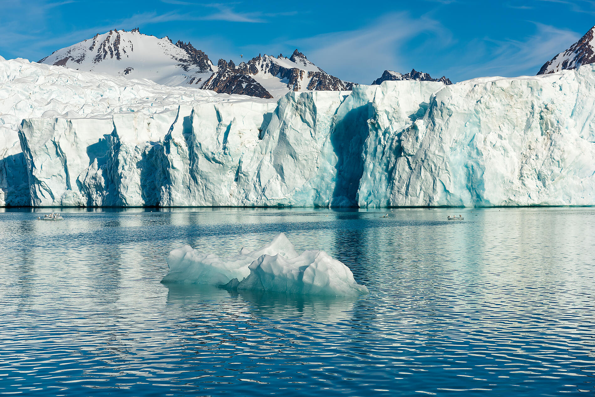 iStock-1065531968.jpg