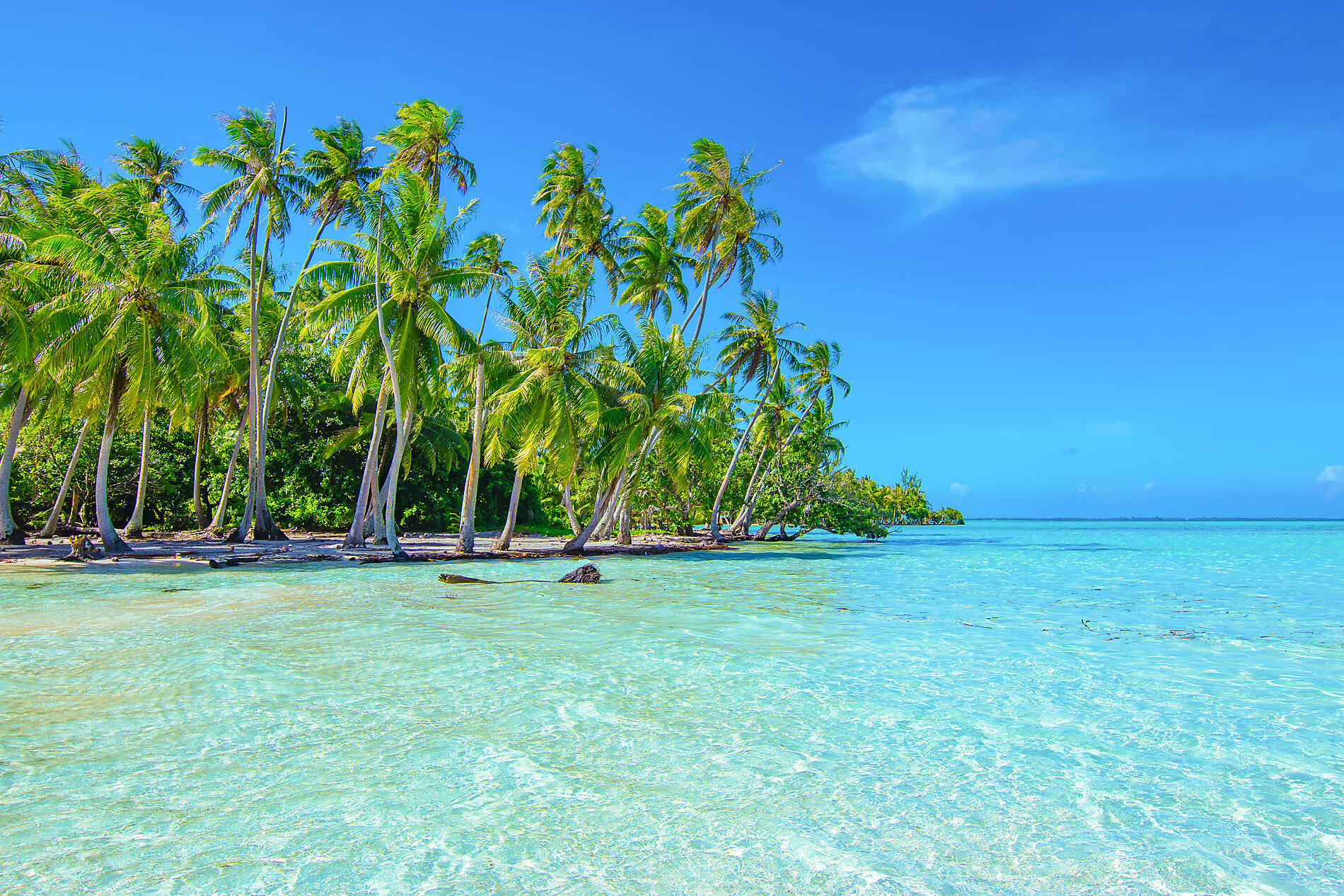 Raiatea - Port Photo ©AdobeStock.jpeg