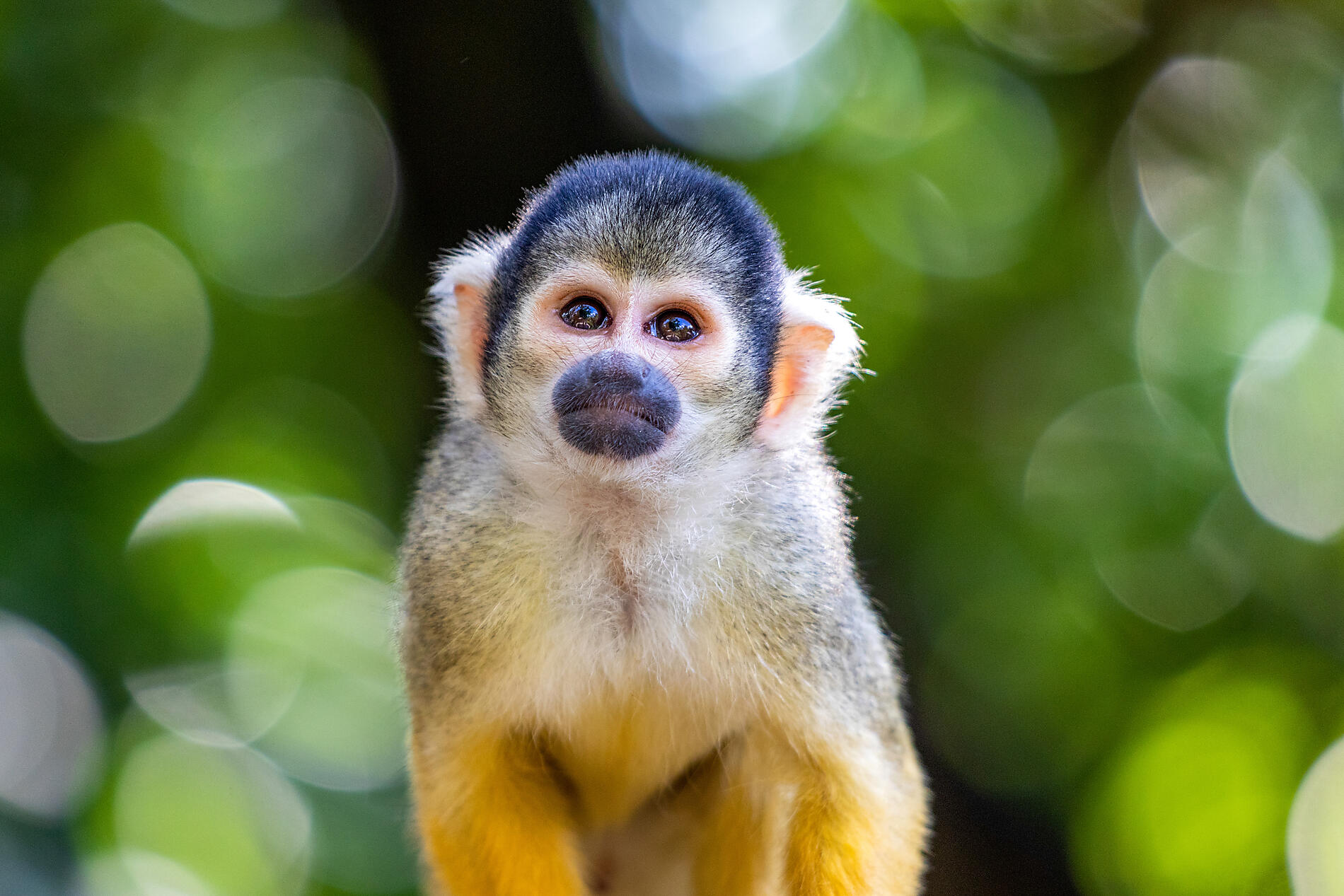 AdobeStock_305395021.jpeg