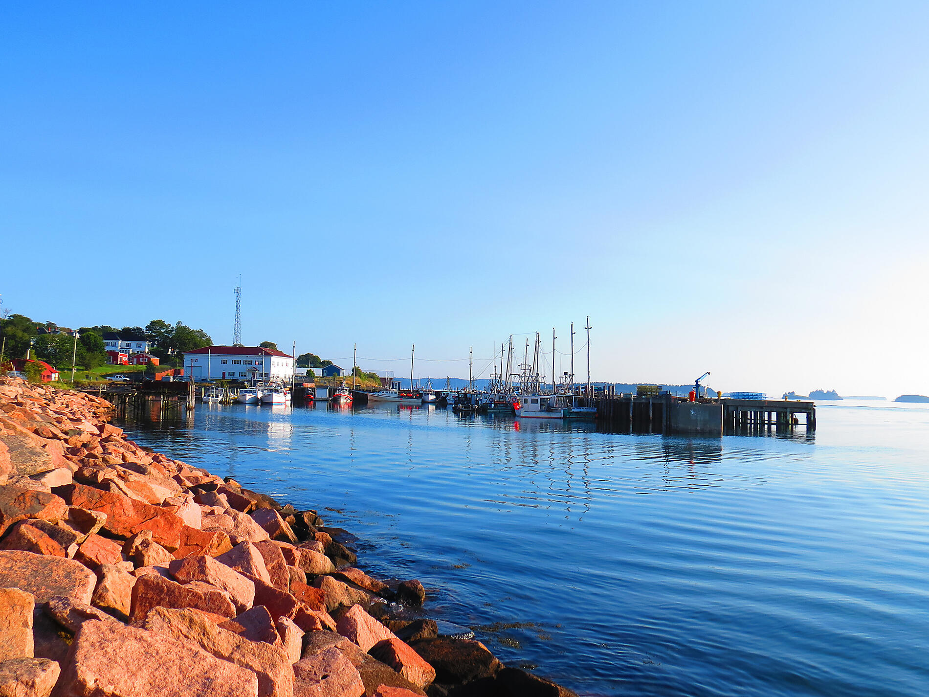 iStock-1359583186.jpg