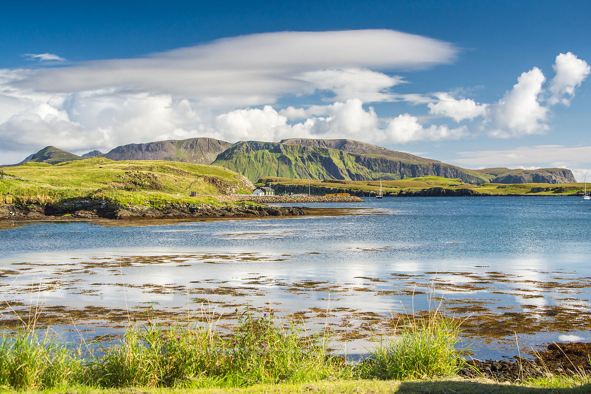iStock-1095657074.jpg
