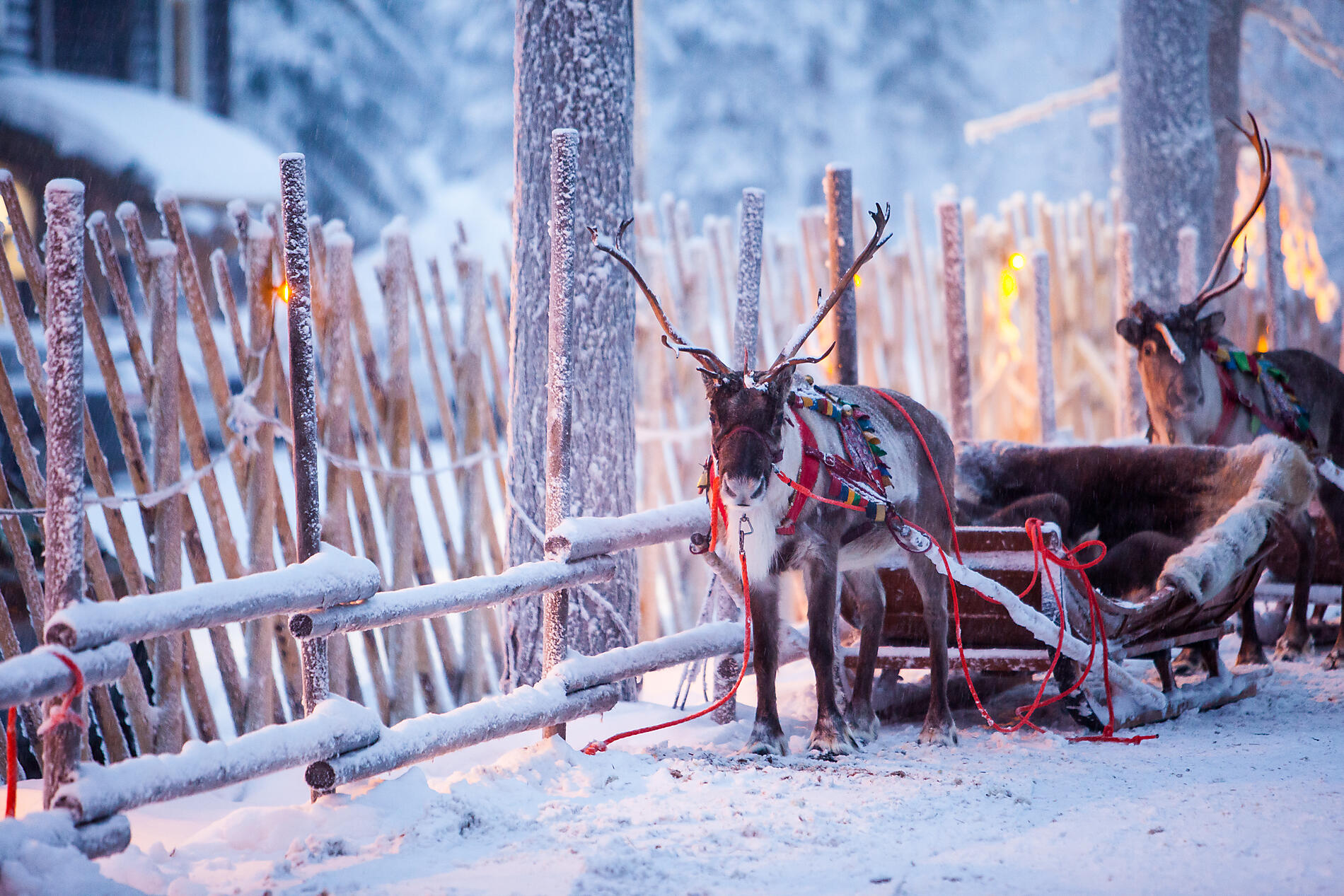 iStock-1189379107.jpg