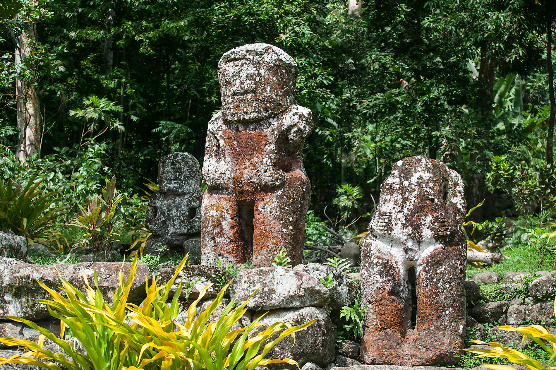 AdobeStock_208397364.jpeg