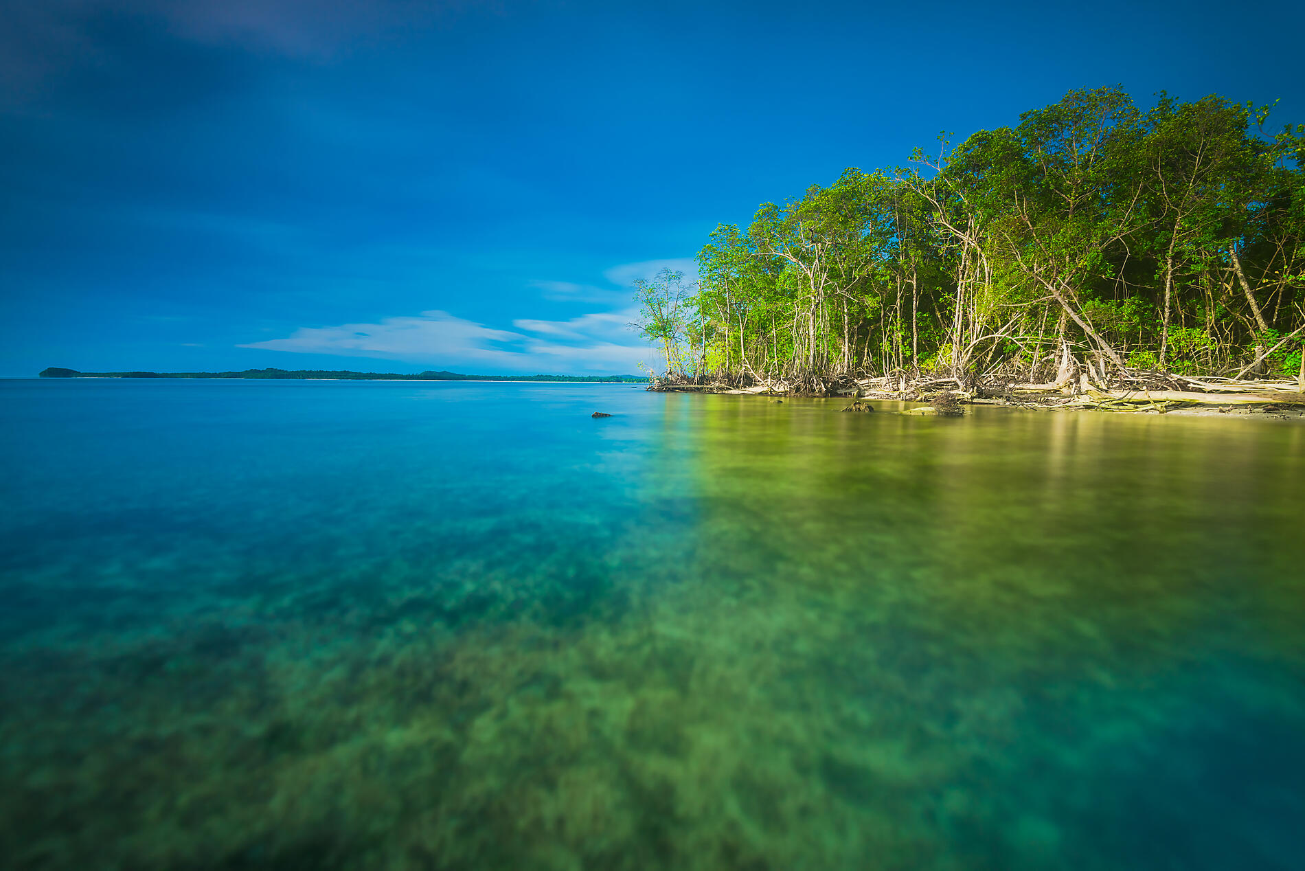 AdobeStock_182714074.jpeg