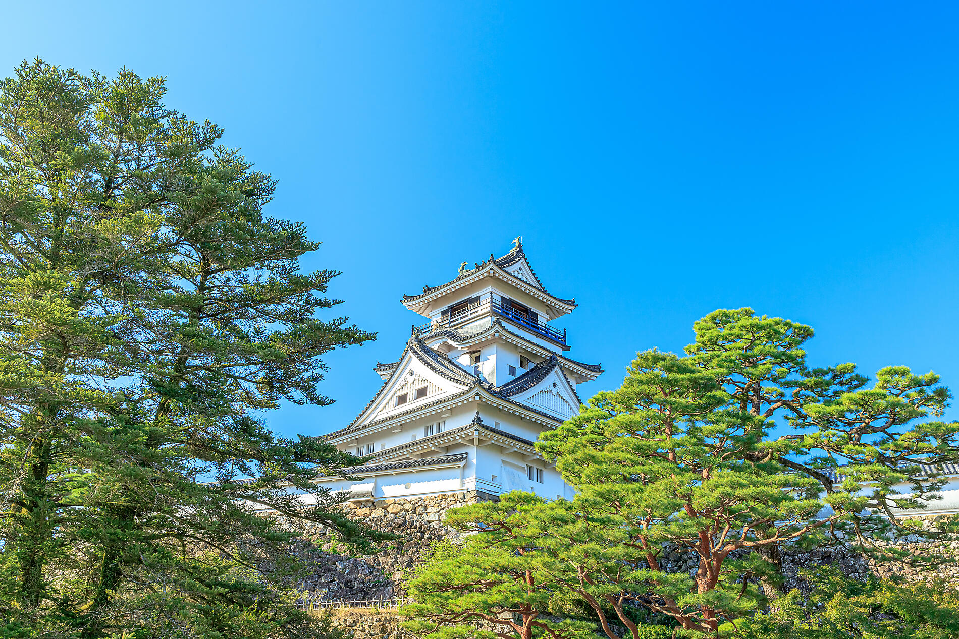 AdobeStock_468572053.jpeg