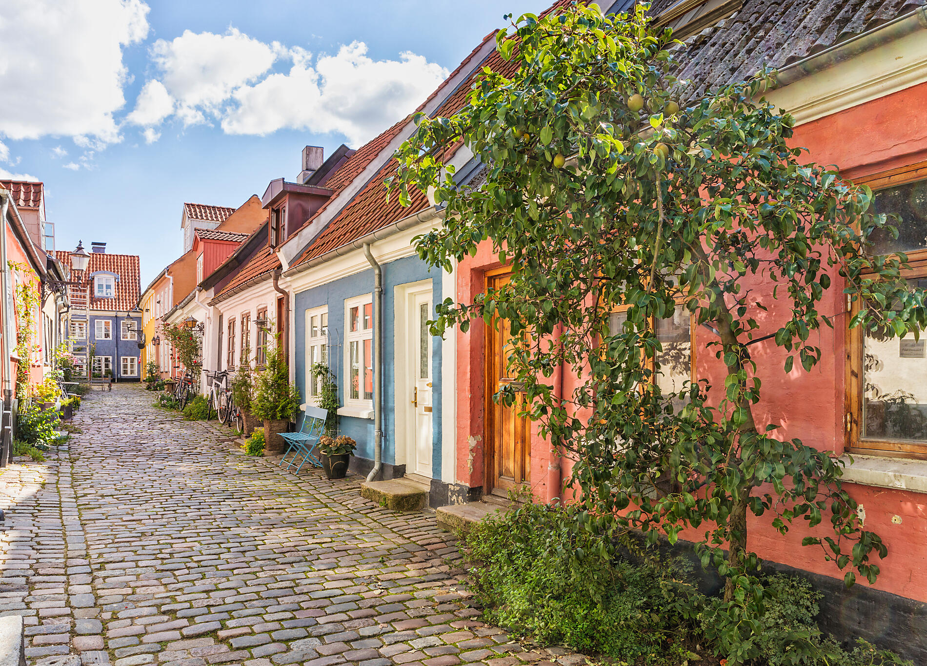 AdobeStock_381662127.jpeg