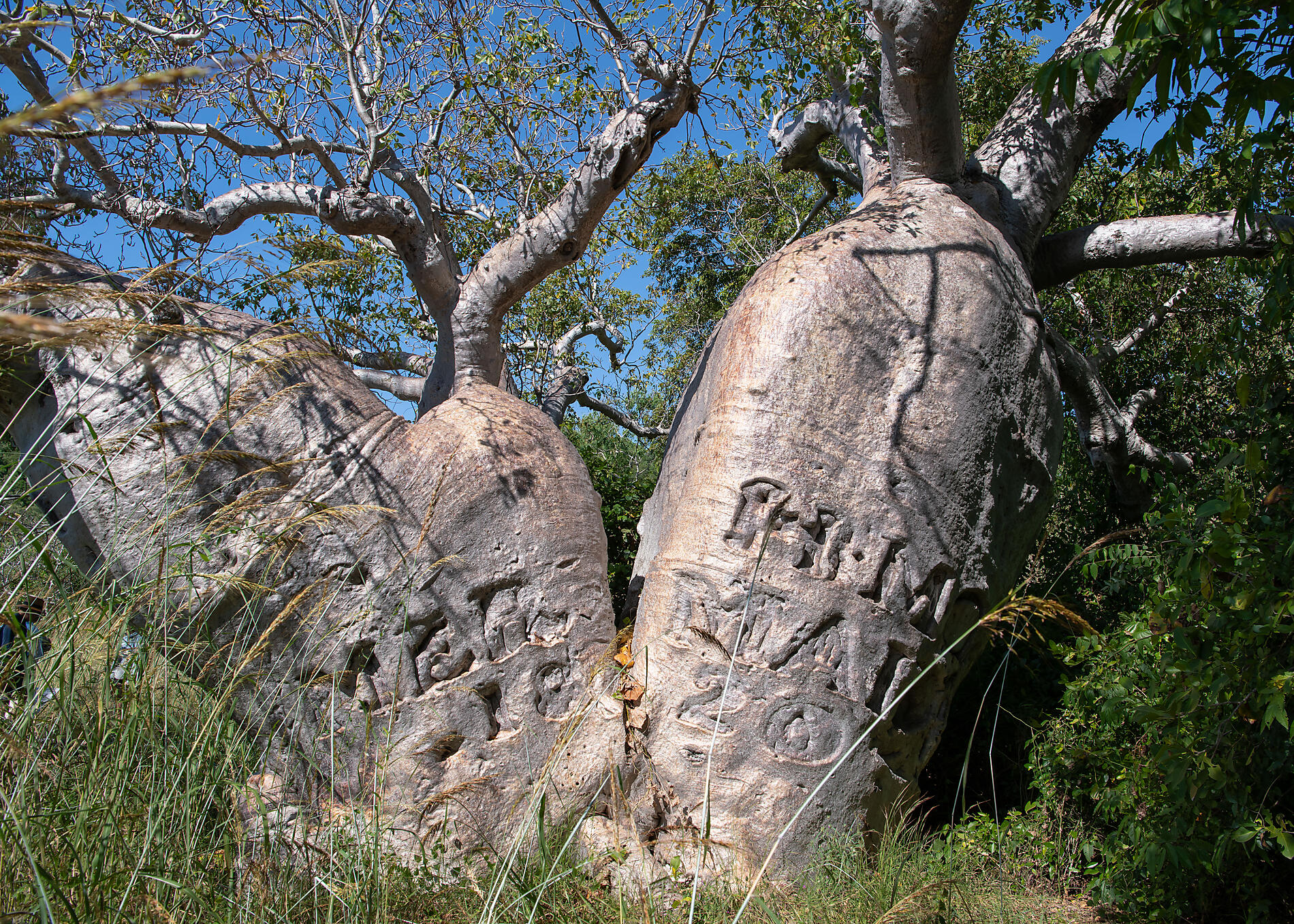 N°-1157_R280422_Darwin-Broome@StudioPONANT-Laure Patricot.jpg