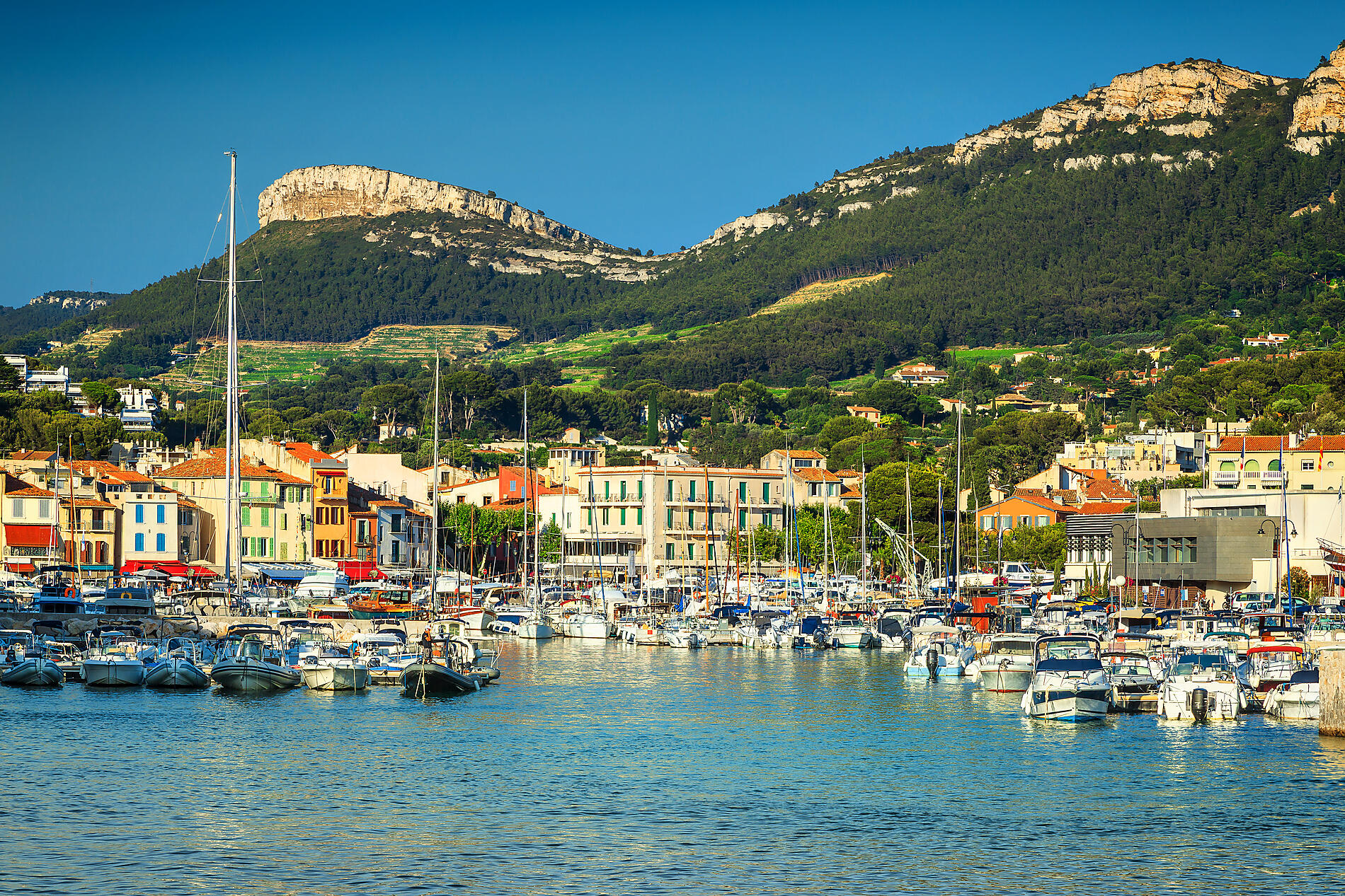 AdobeStock_132741970.jpeg