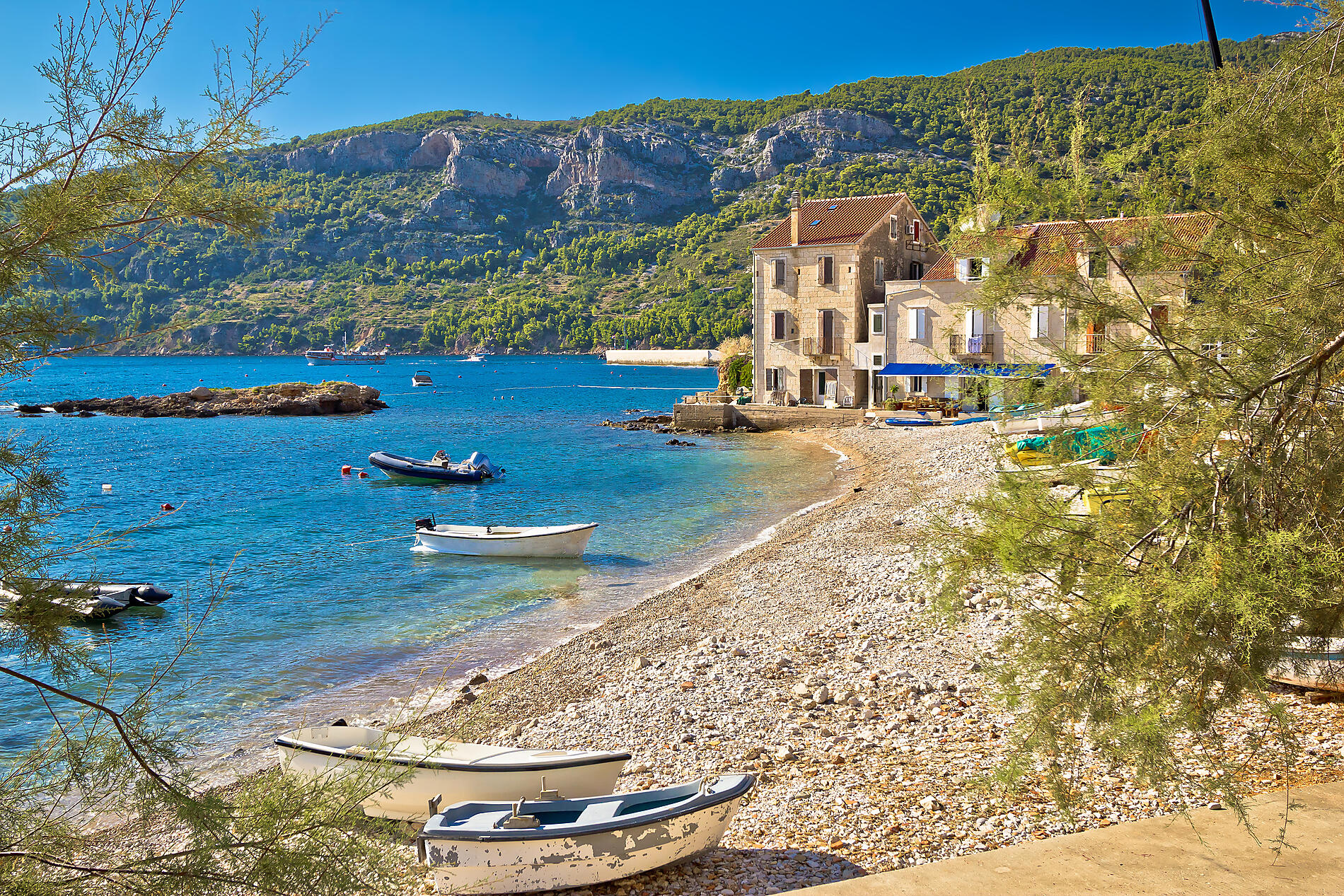 iStock-486821902.jpg