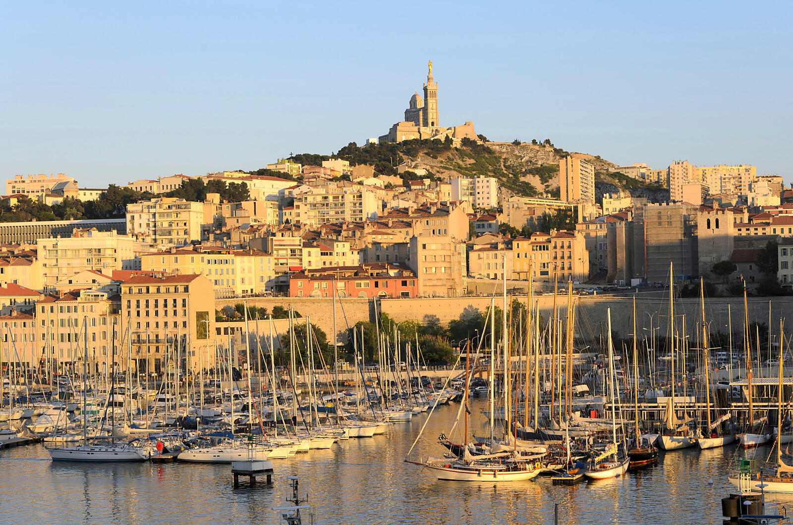iStock_000021330485_Full.jpg
