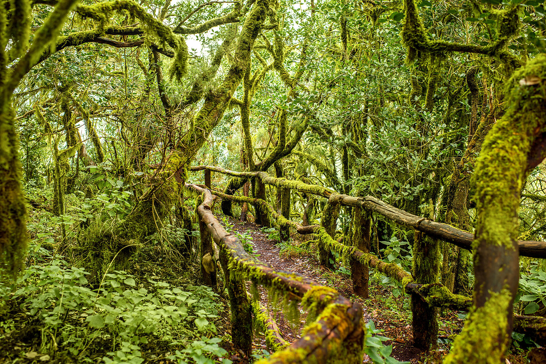 AdobeStock_103572510.jpeg