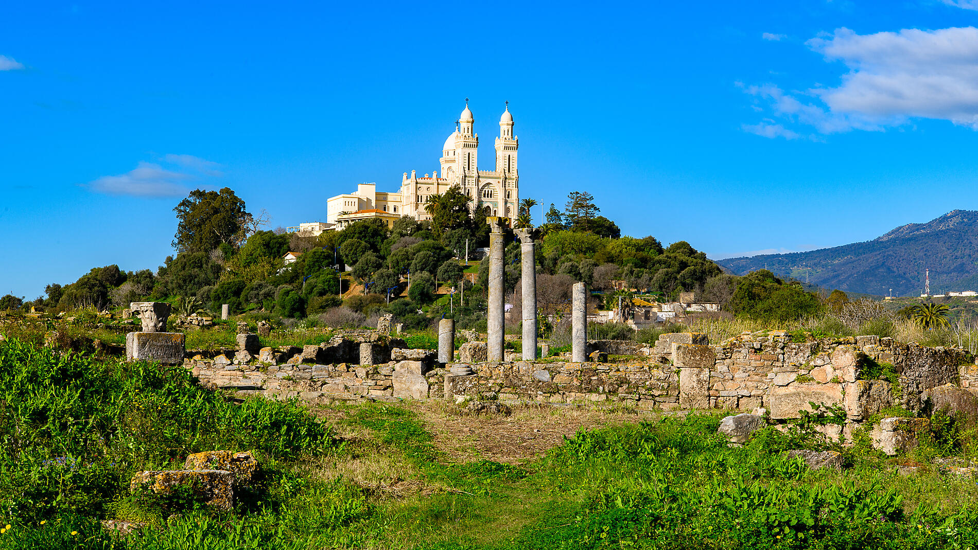 AdobeStock_358665527.jpeg