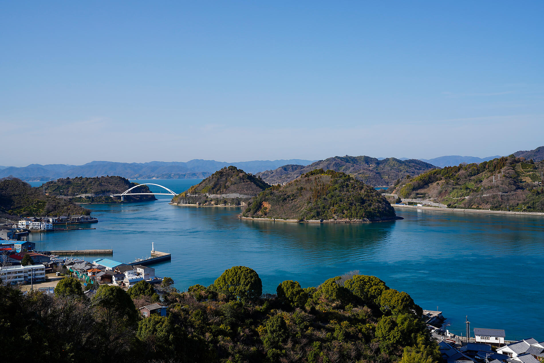 iStock-1214050219.jpg