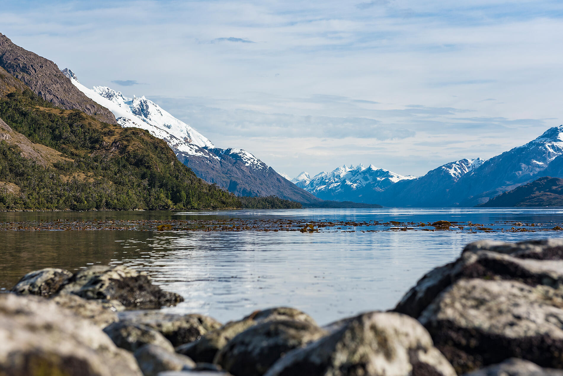 No-1106_S011117_Glacier-Estero-Las-Montanas©StudioPONANT-L.Fischer.jpg