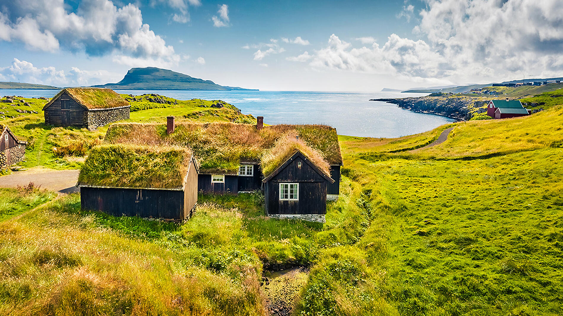 Territoires sauvages d’Écosse, des îles Féroé et d’Islande	