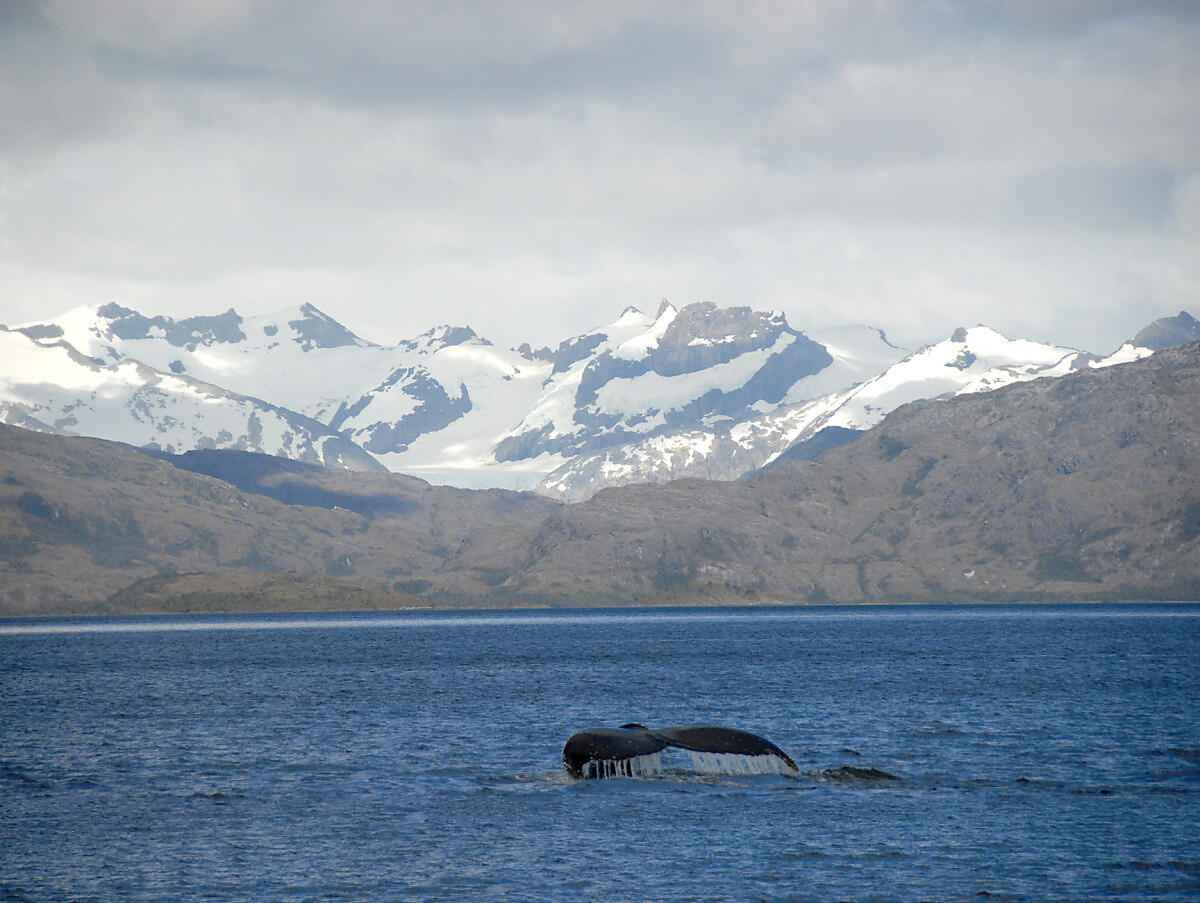 Depositphotos_2801784_m-ok.JPEG