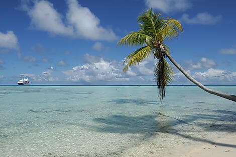 17 Oct 26 - Fakarava, îles Tuamotu