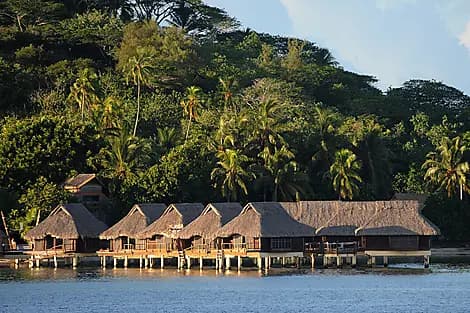 21 Mars 26 - Papeete, île de Tahiti 