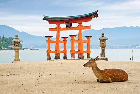 29 Mars 26 - Île Miyajima
