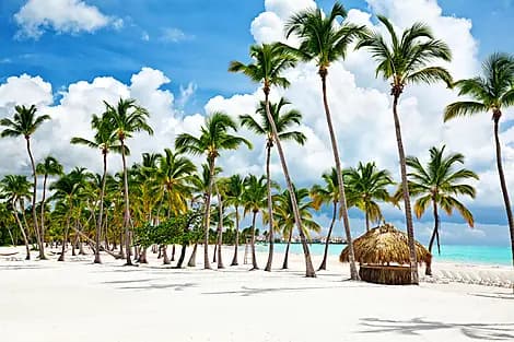 19 Janv 26 - Saint-Domingue