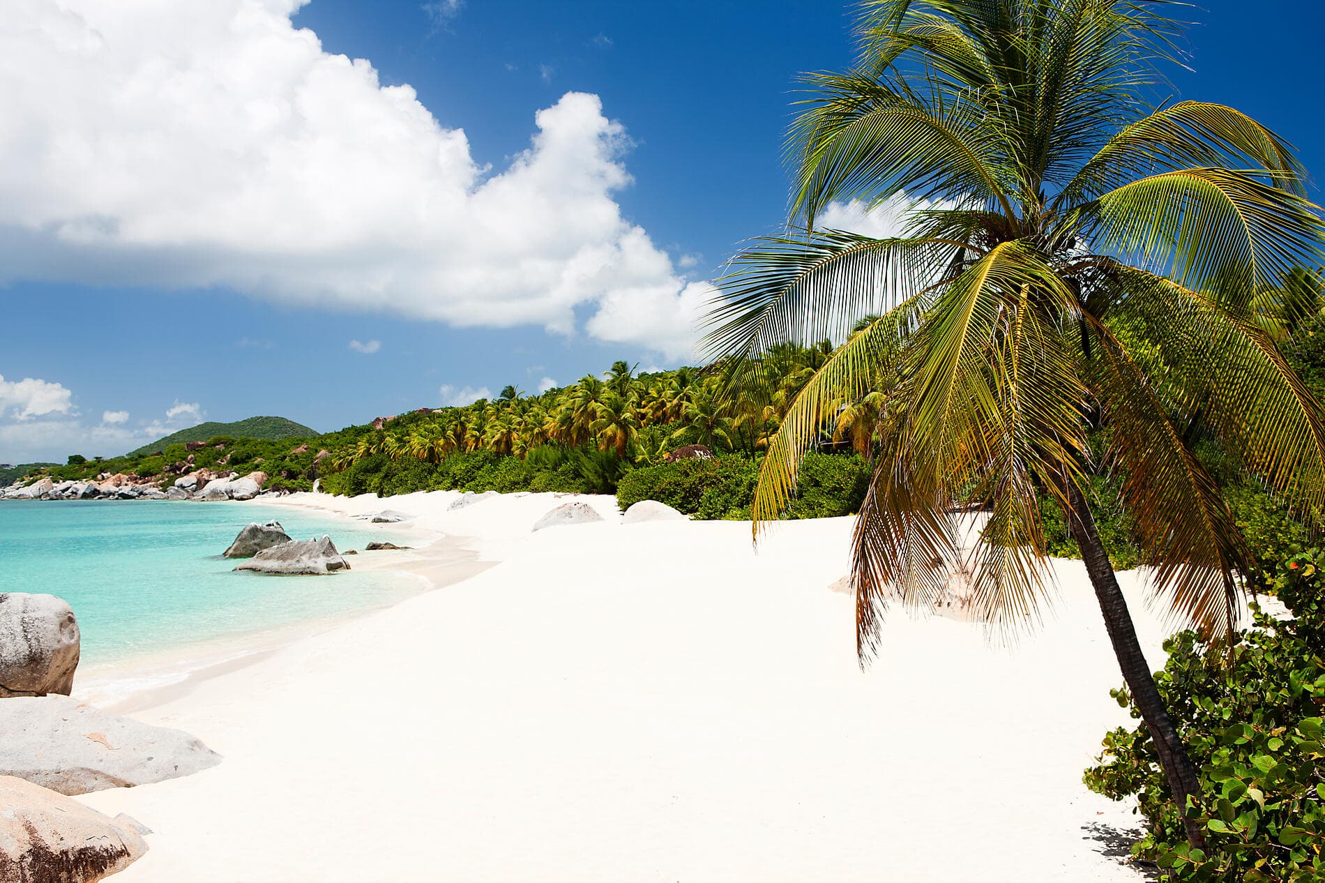 L'essentiel des Caraïbes  ©Istockphoto