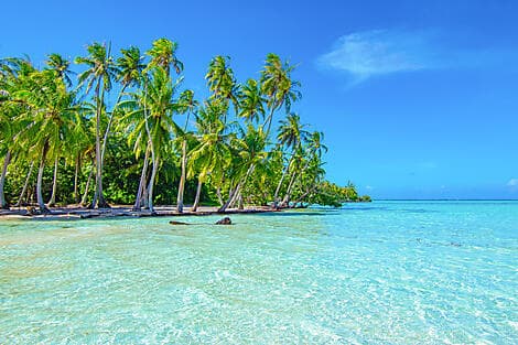 31 Août 26 - Raiatea, îles de la Société