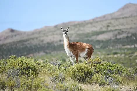 20 Mars 26 - Puerto Madryn