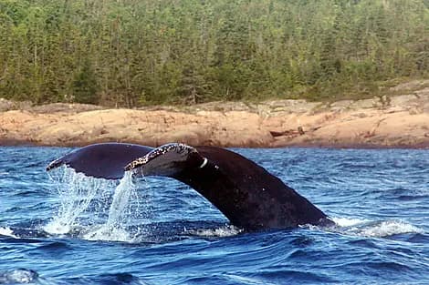 27 Sept 26 - Rigolet