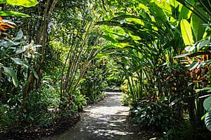 Les merveilles de Soufrière