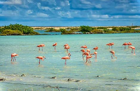 13 Avr 27 - Bonaire