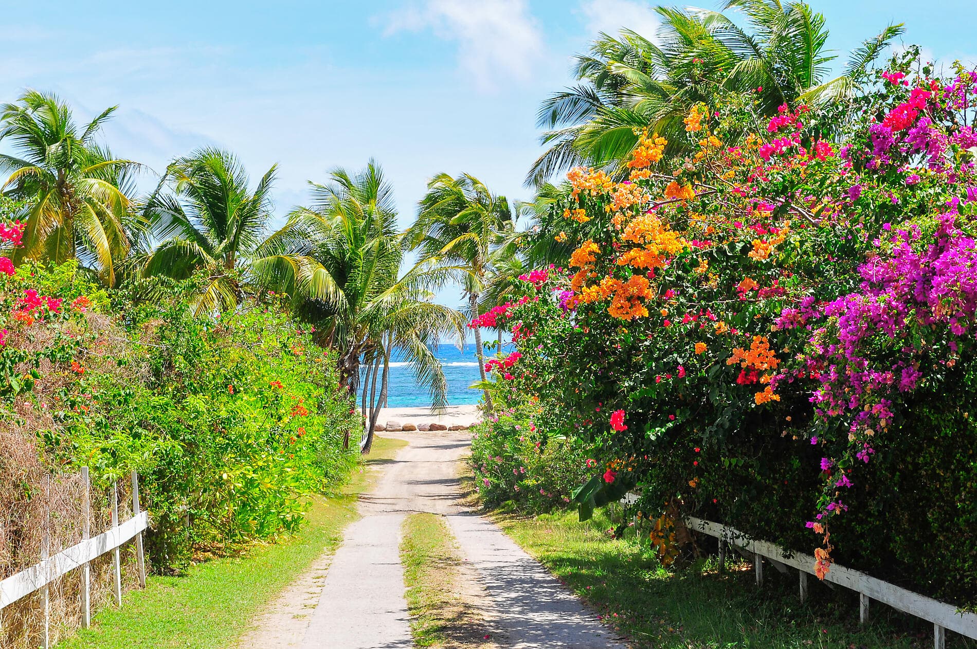 L'essentiel des Caraïbes  