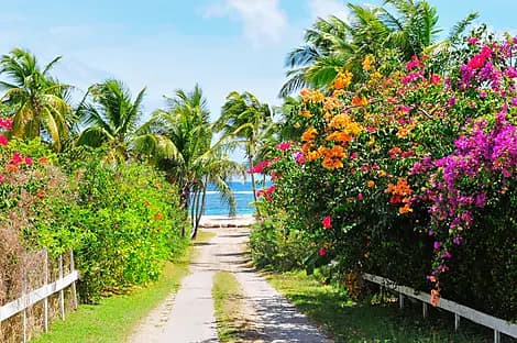23 Mars 27 - Charlestown, Nevis