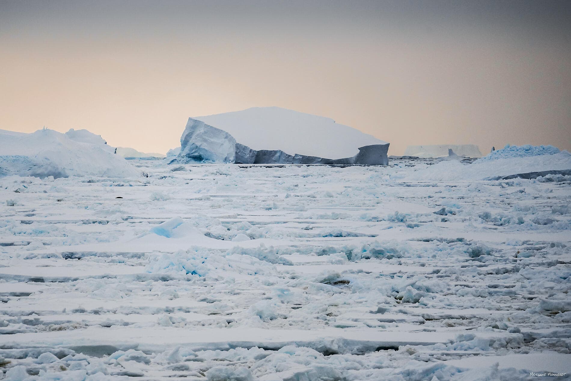 Entre deux continents, terres inexplorées d’Antarctique 