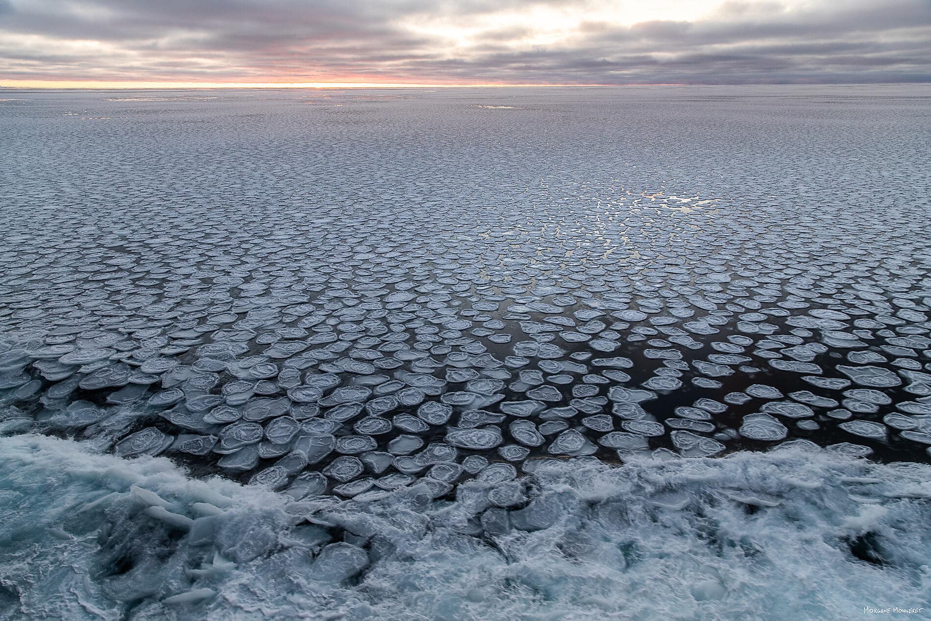 Entre deux continents, terres inexplorées d’Antarctique 