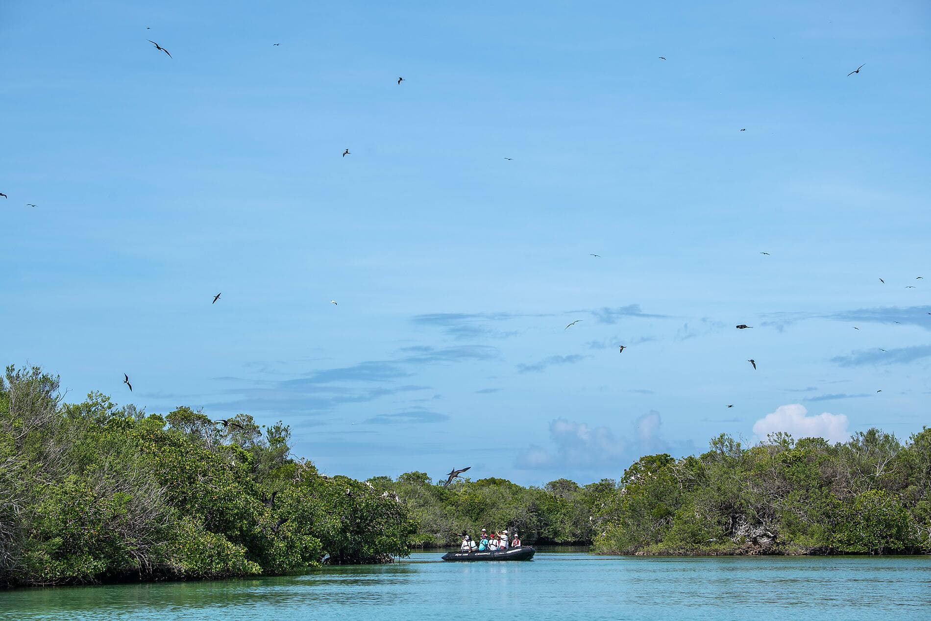 Zanzibar, Aldabra et trésors de l’océan Indien 