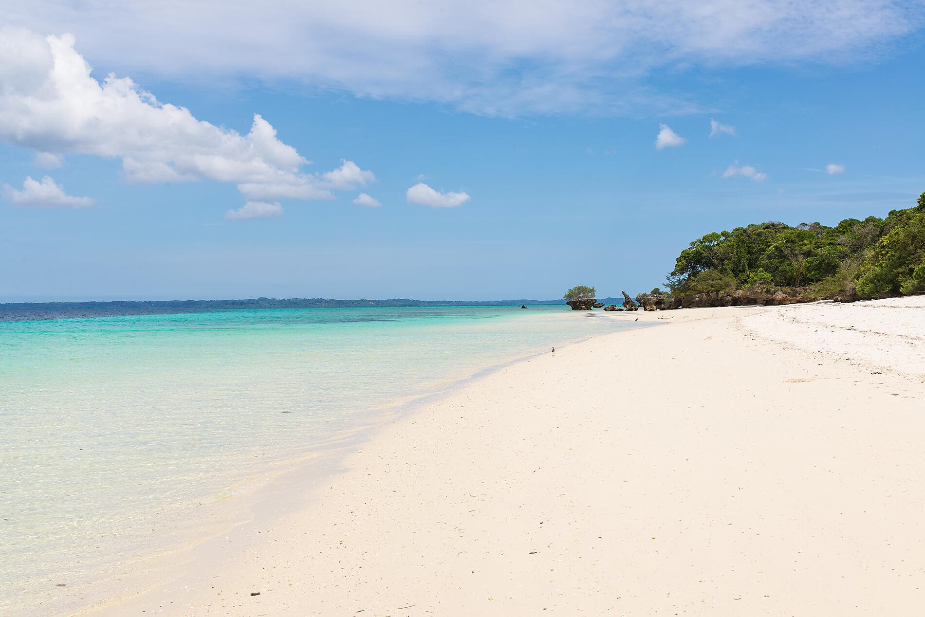 Zanzibar, Aldabra et trésors de l’océan Indien 