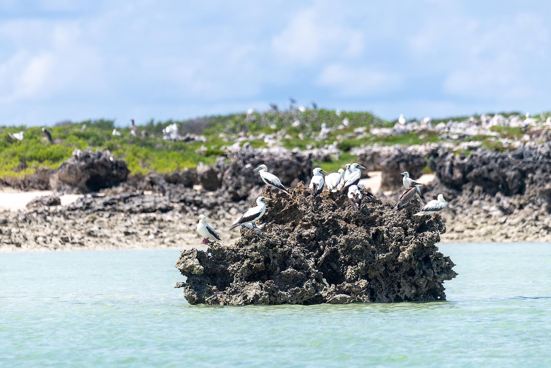 Zanzibar, Aldabra et trésors de l’océan Indien 