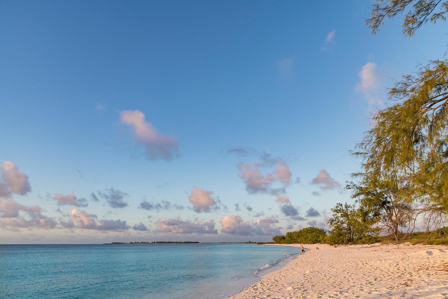 Zanzibar, Aldabra et trésors de l’océan Indien 