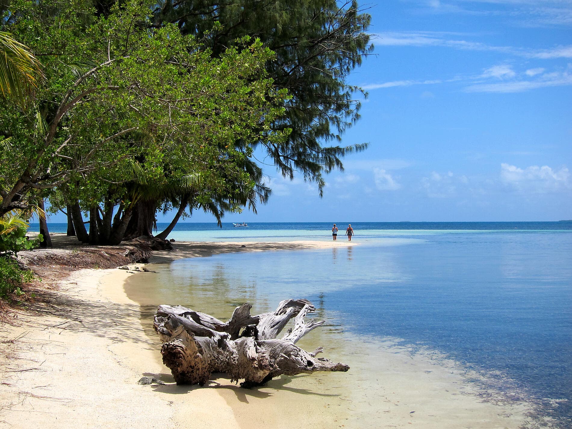 Odyssée tropicale en Amérique centrale 