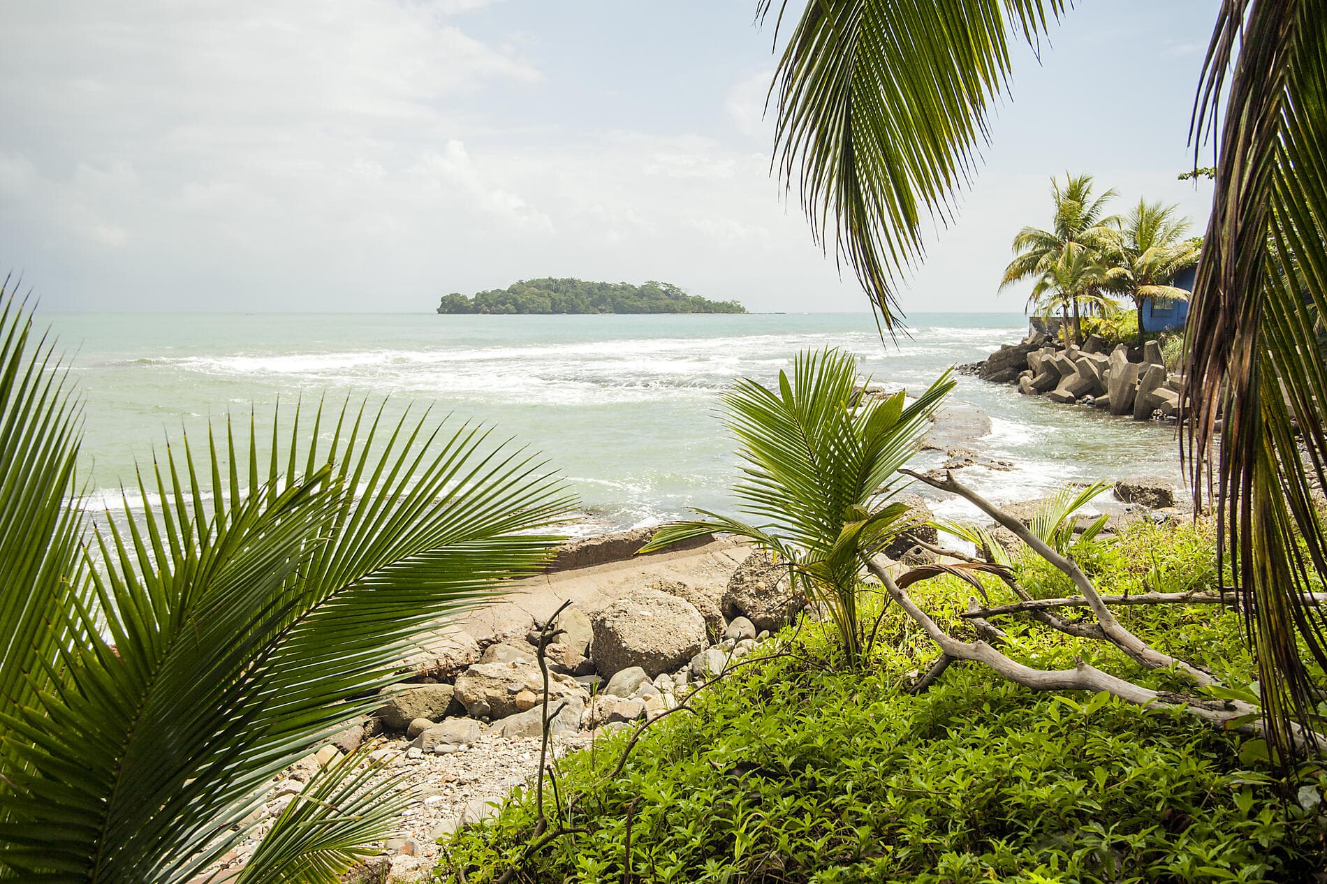 Odyssée tropicale en Amérique centrale 