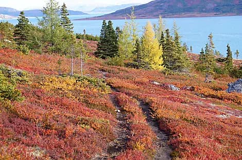 26 Sept 26 - Nain
