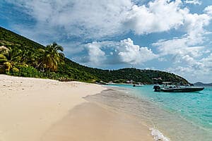 Détente sur la plage de White Bay