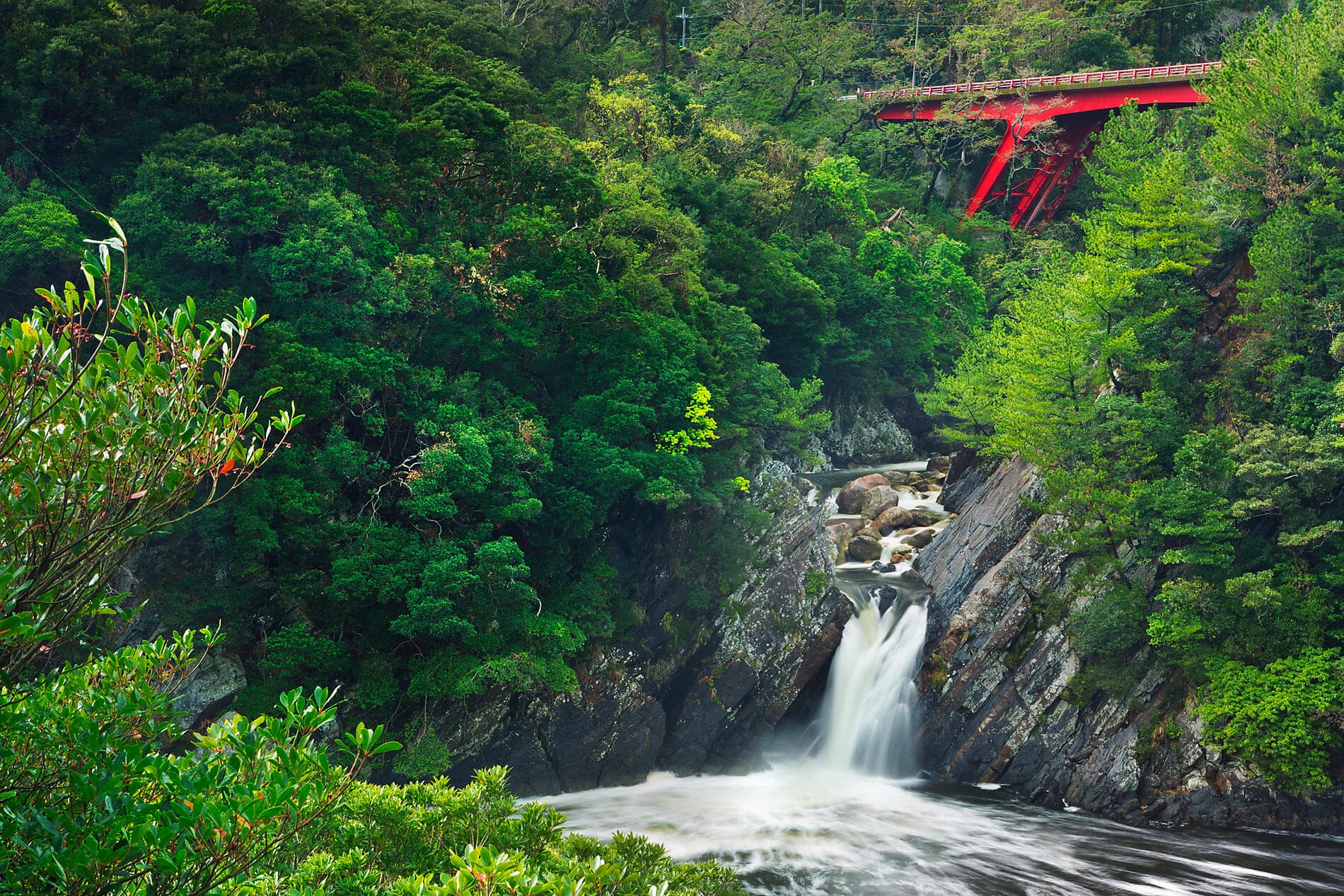 Îles subtropicales et Japon ancestral 