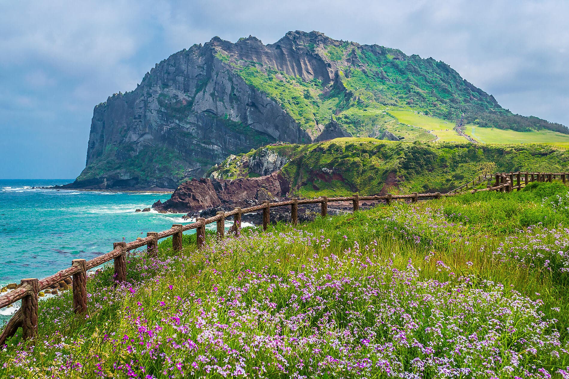 Îles subtropicales et Japon ancestral 