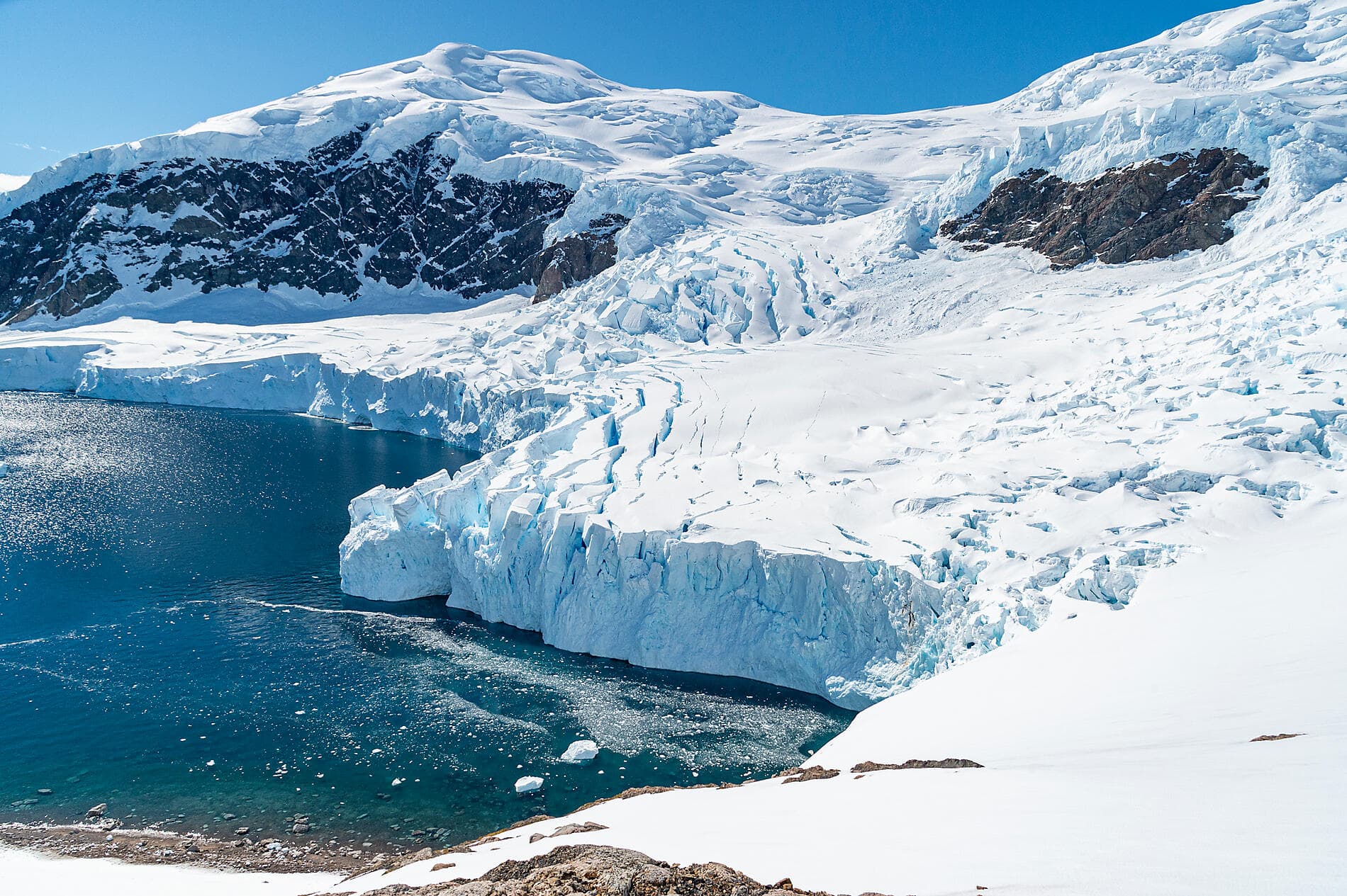 L’Antarctique emblématique  